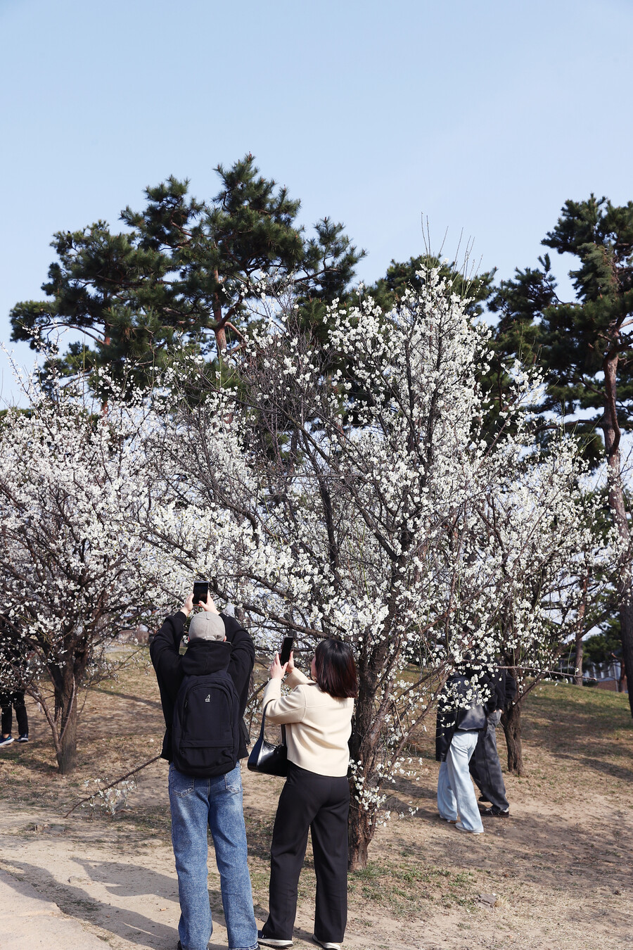 한겨레