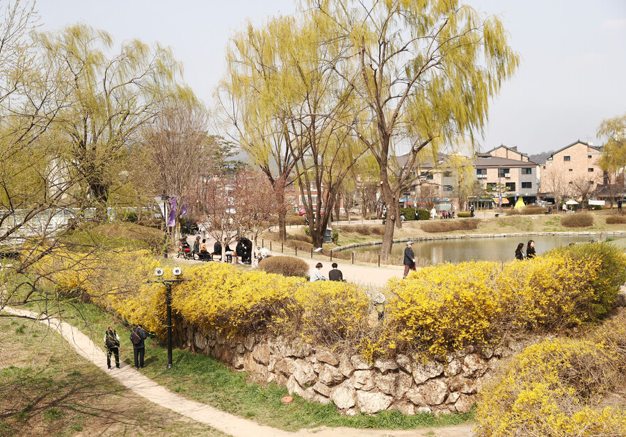 한겨레