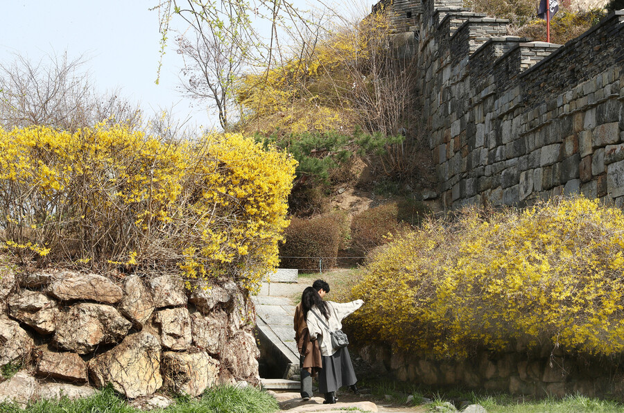 한겨레