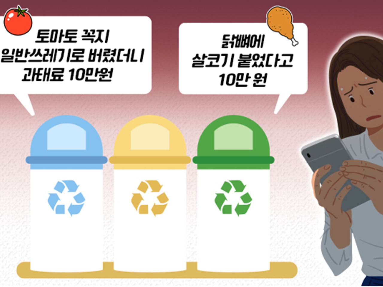 토마토여행사주 이미지