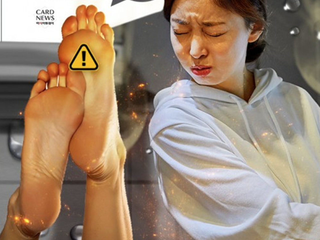 토마토여행사주 이미지