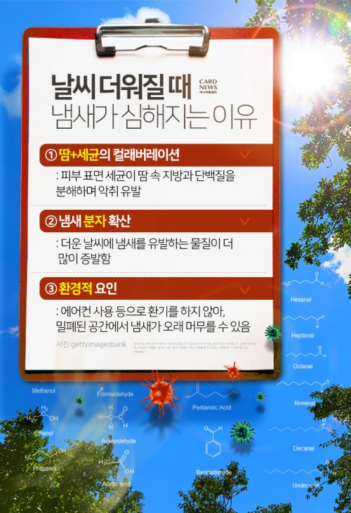아시아투데이