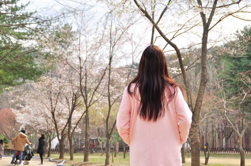주말은 여기서! 서울 근교 나들이 BEST 6