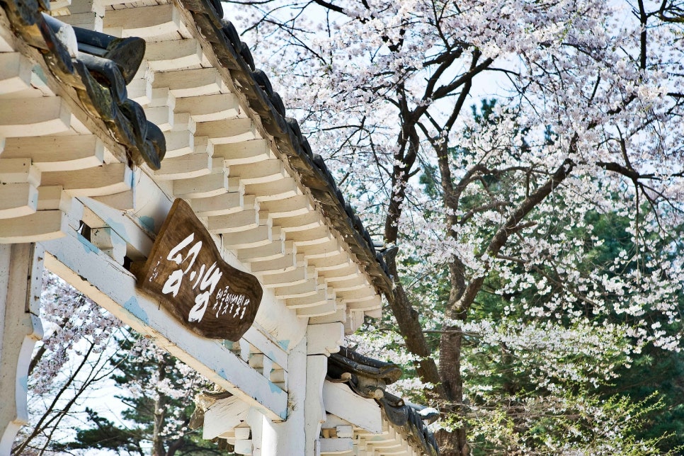 주말은 여기서! 서울 근교 나들이 BEST 6