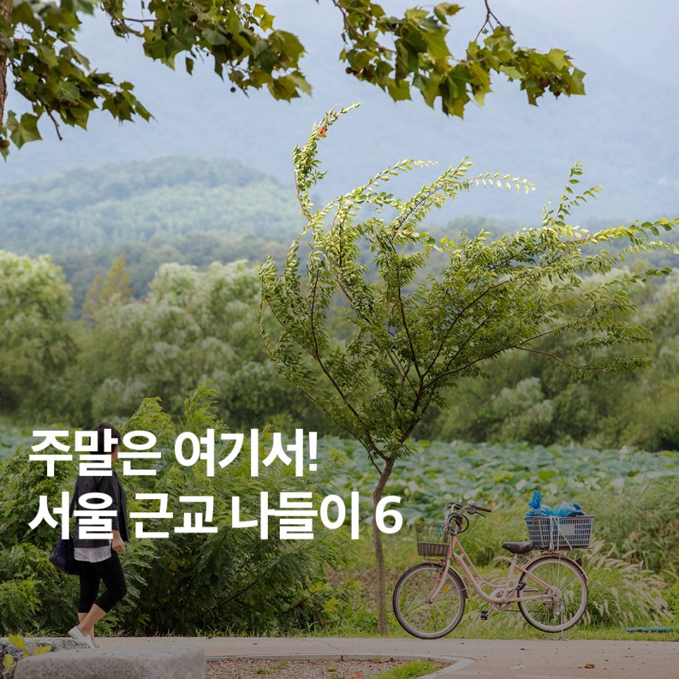 주말은 여기서! 서울 근교 나들이 BEST 6