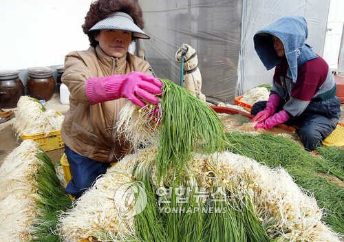 연합뉴스