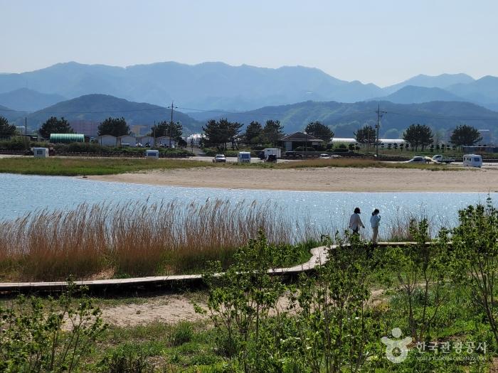 바다를 껴안은 후덕한 산봉우리, 삼척 덕봉산해안생태탐방로