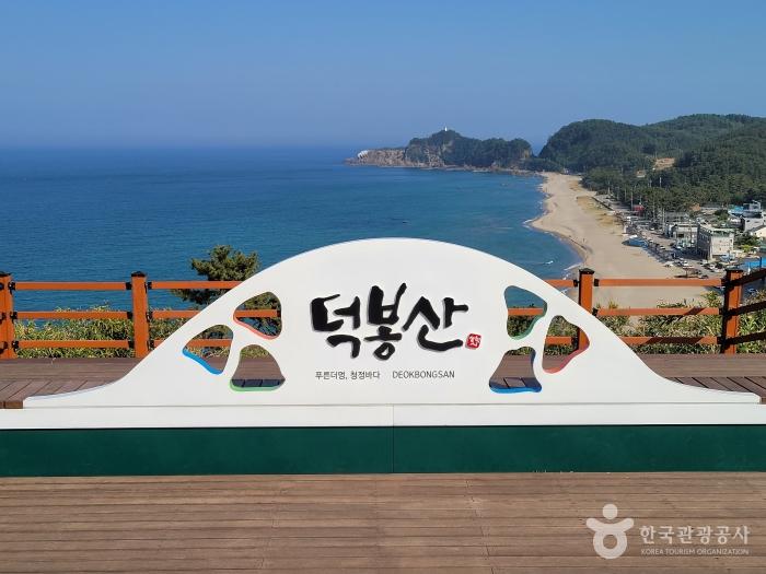 바다를 껴안은 후덕한 산봉우리, 삼척 덕봉산해안생태탐방로