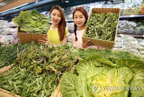 연합뉴스