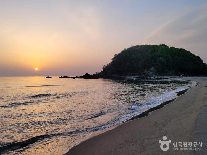 바다를 껴안은 후덕한 산봉우리, 삼척 덕봉산해안생태탐방로