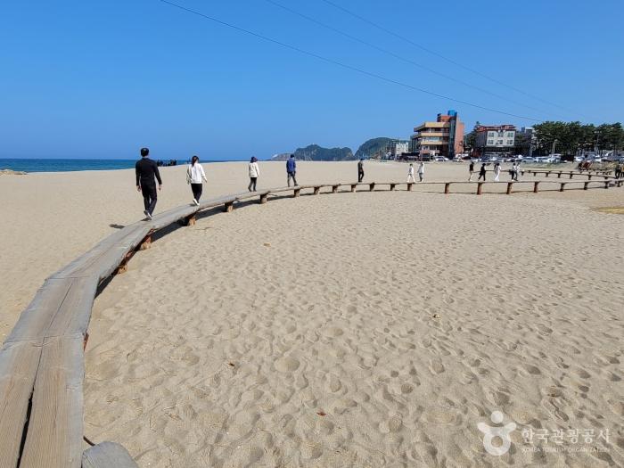 바다를 껴안은 후덕한 산봉우리, 삼척 덕봉산해안생태탐방로