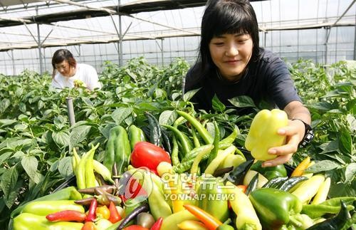 연합뉴스