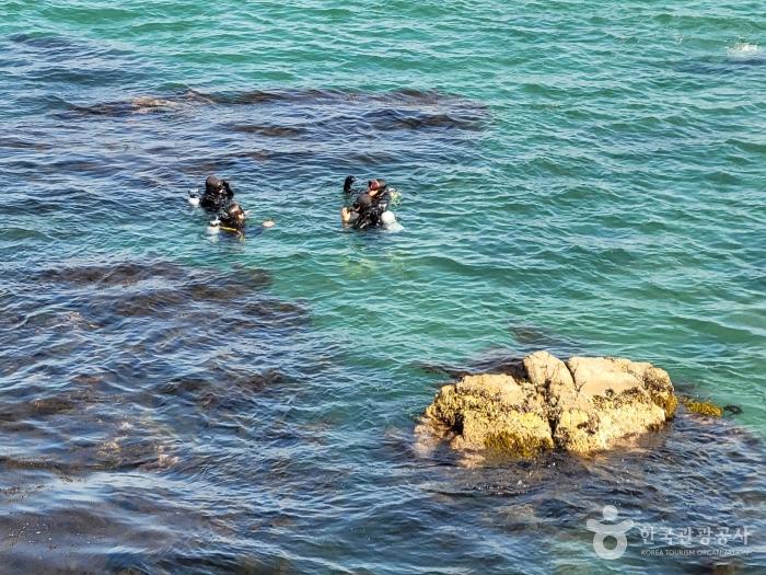 바다를 껴안은 후덕한 산봉우리, 삼척 덕봉산해안생태탐방로