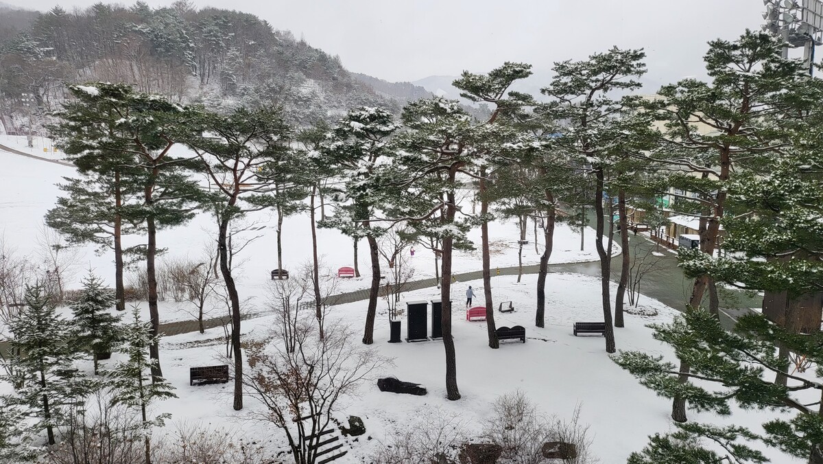 스포츠월드