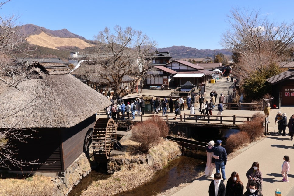 후지산 투어 추천! 도쿄 당일치기로 핫플만 찍고 오는 법