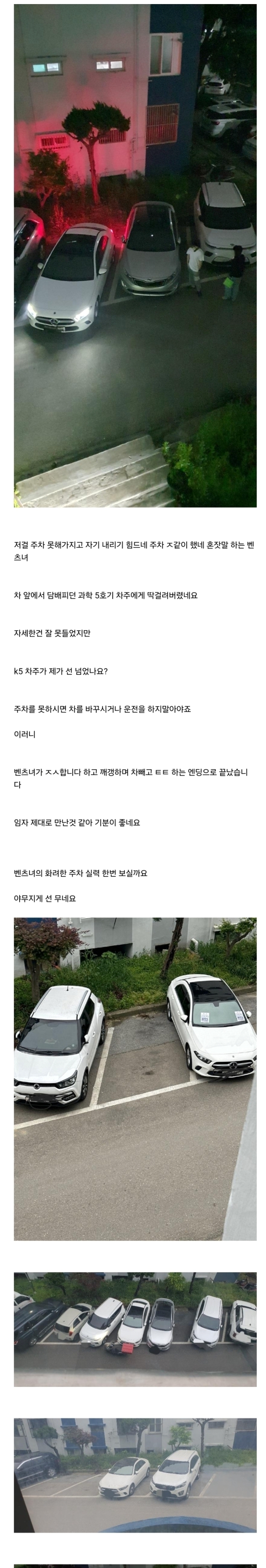 주차빌런 벤츠녀 vs 과학 5호기 차주 대치수준.jpg