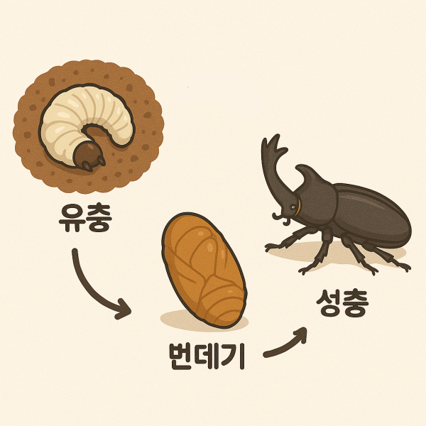 da49a7237b678655061f906e8adbc250_1744540235_9027.png