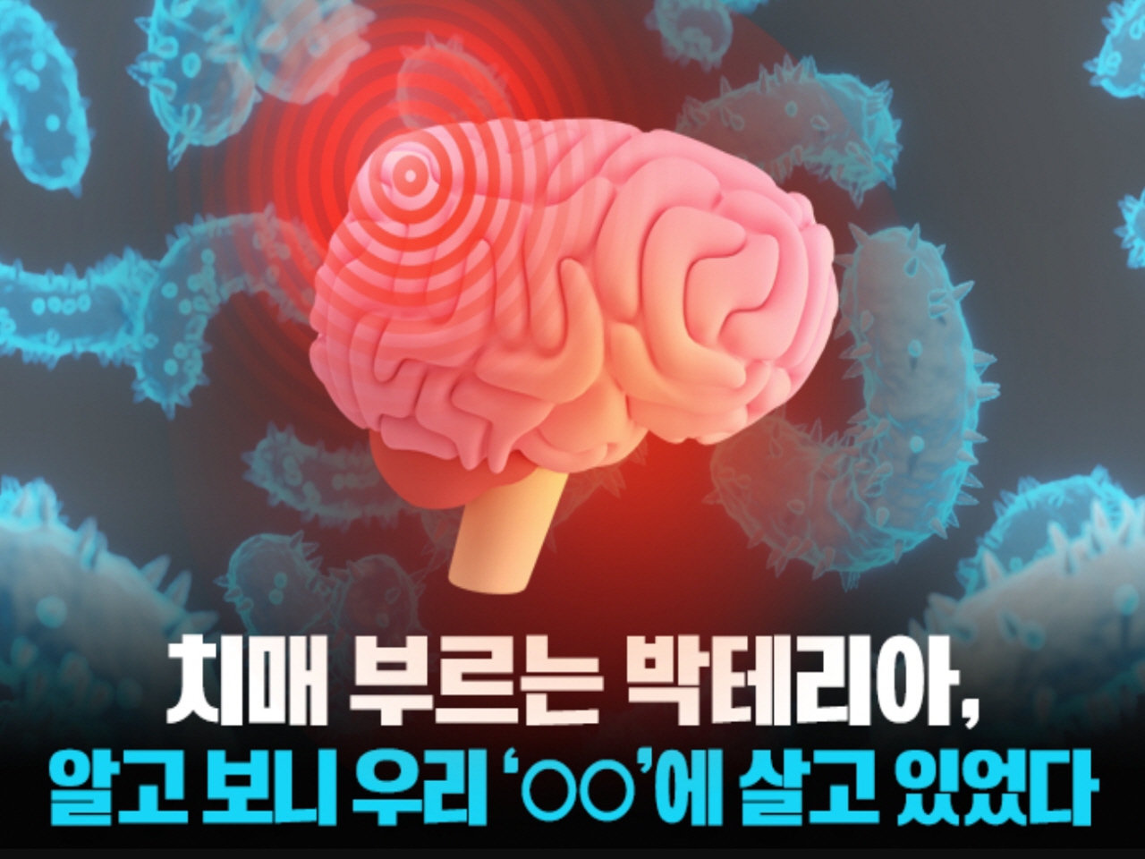 토마토여행사주 이미지