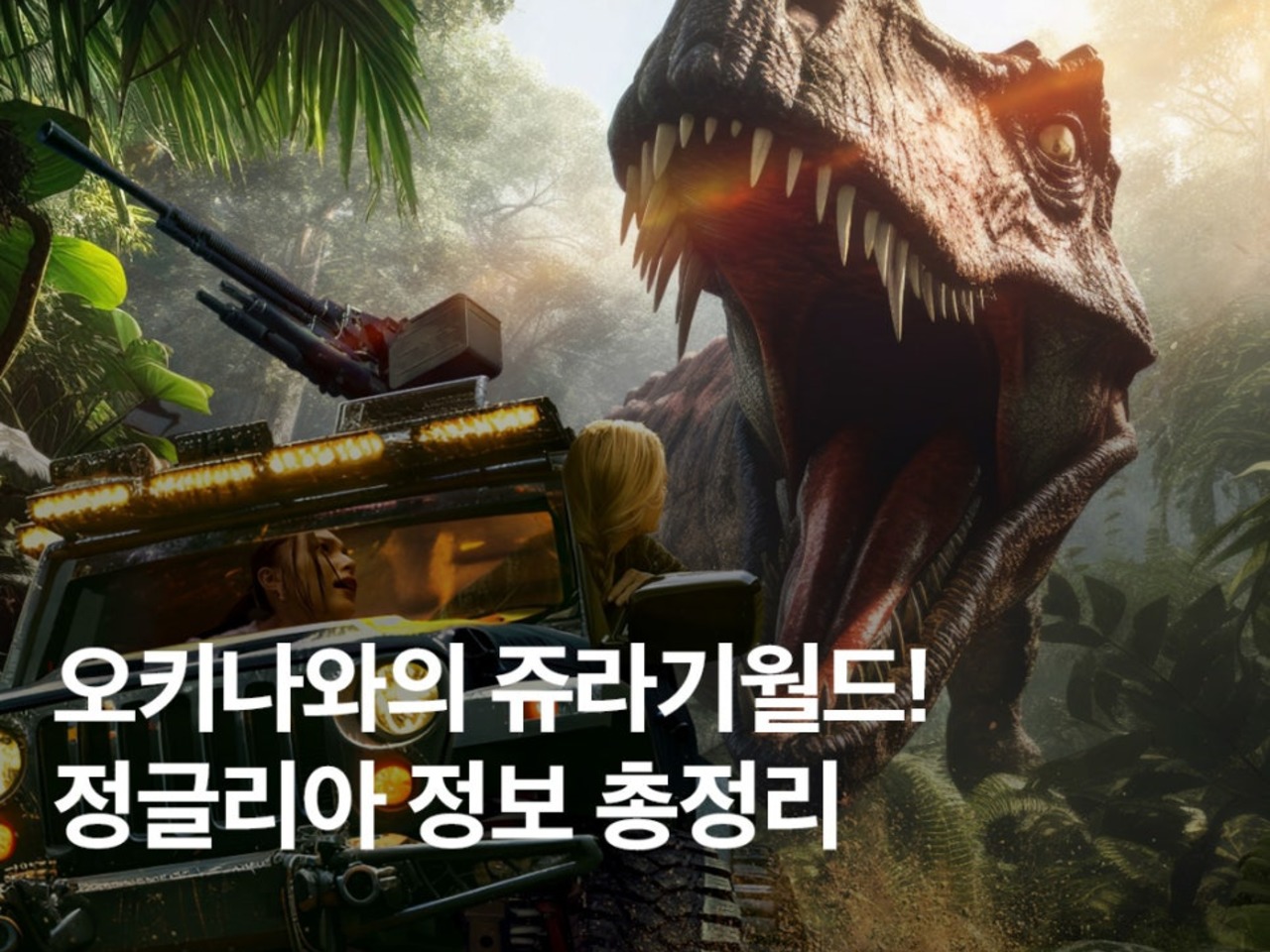 오렌지여행사주 이미지