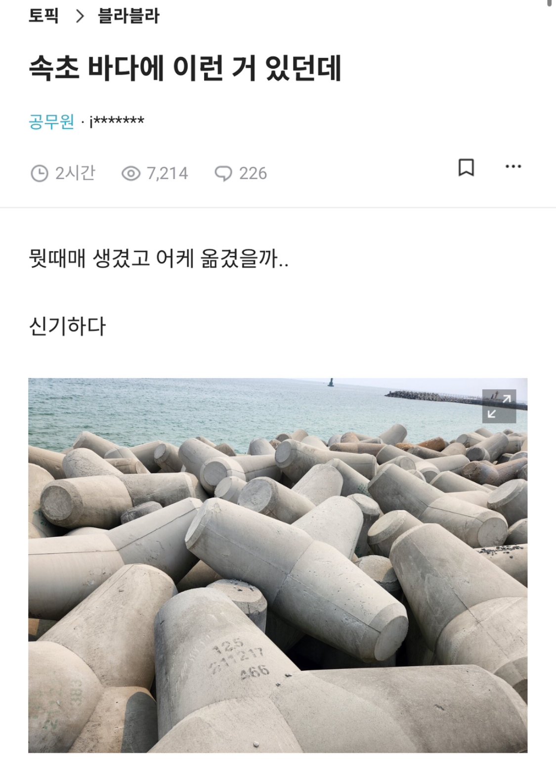 whWUnW.jpg 블라인드) 속초 바다에 이런거 있던데