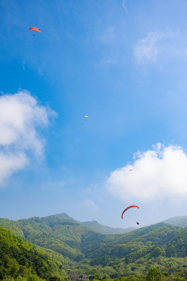 한국일보