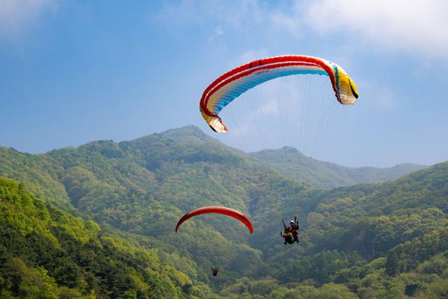 한국일보