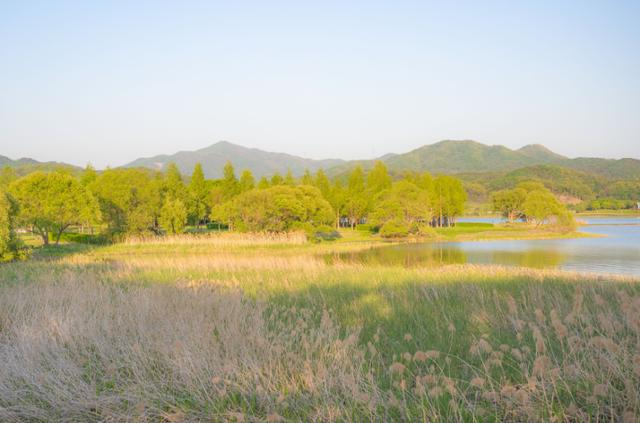 한국일보