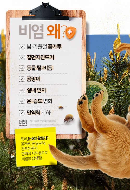 아시아투데이