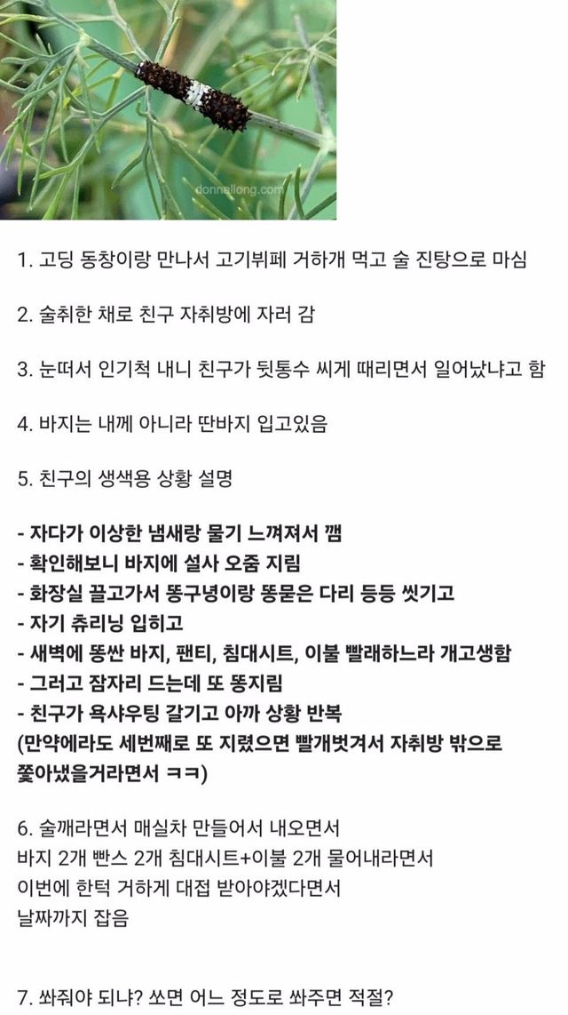 친구 자취방에서 일어났는데 눈 떠 보니 다른 바지 입고 있었던 이유