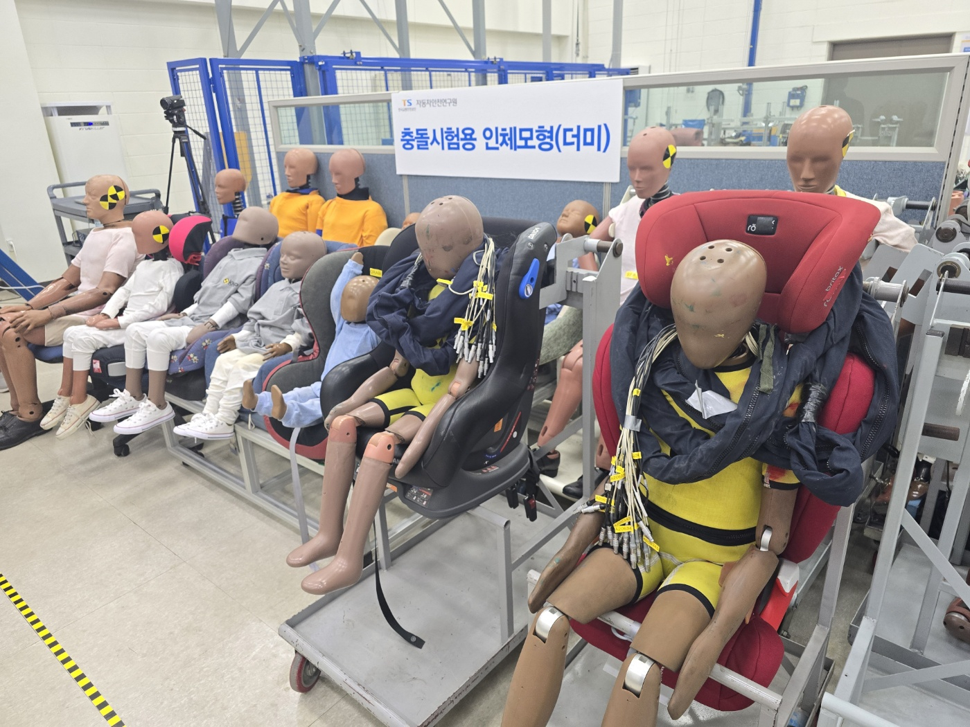 중앙일보