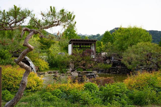 한국일보