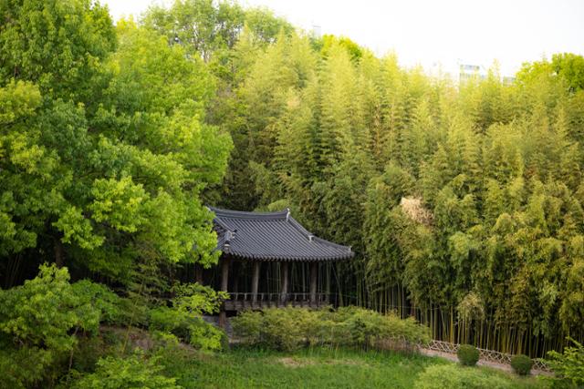 한국일보