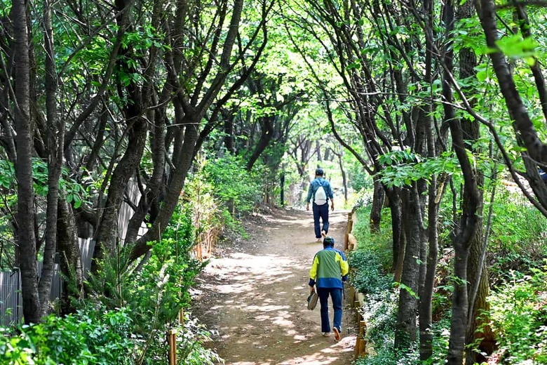 "4050대가 걷자마자 반한 2km 명품길"… 5월 새단장으로 돌아온 힐링 명소