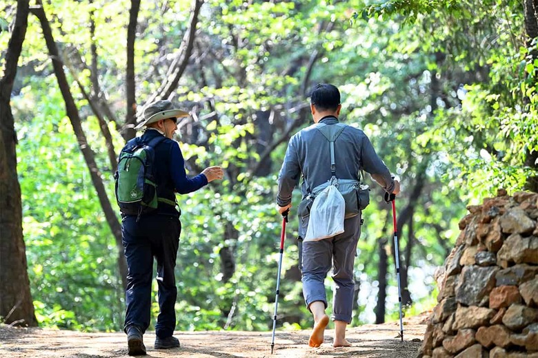 "4050대가 걷자마자 반한 2km 명품길"… 5월 새단장으로 돌아온 힐링 명소