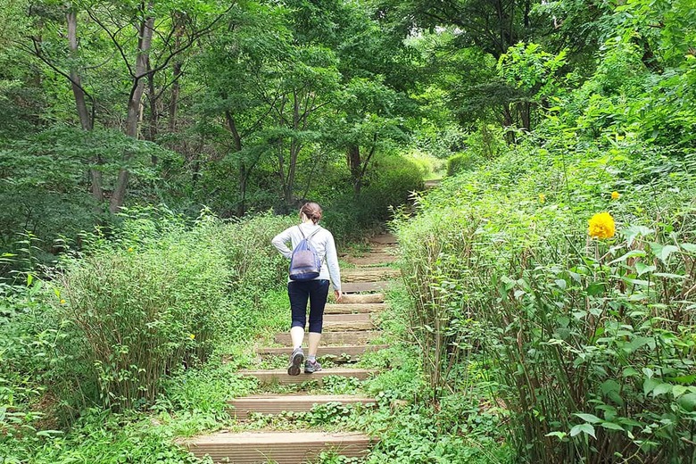 "4050대가 걷자마자 반한 2km 명품길"… 5월 새단장으로 돌아온 힐링 명소
