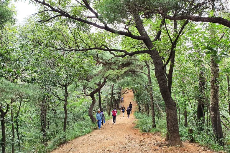"4050대가 걷자마자 반한 2km 명품길"… 5월 새단장으로 돌아온 힐링 명소