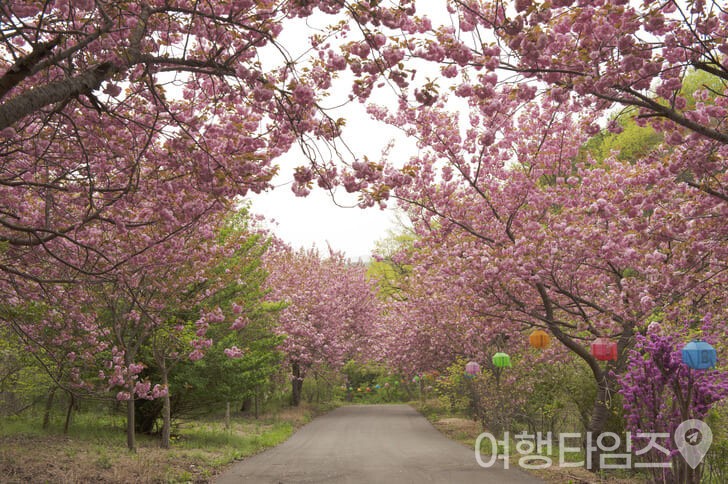 ⓒ게티이미지뱅크(개심사)