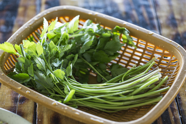 세계일보