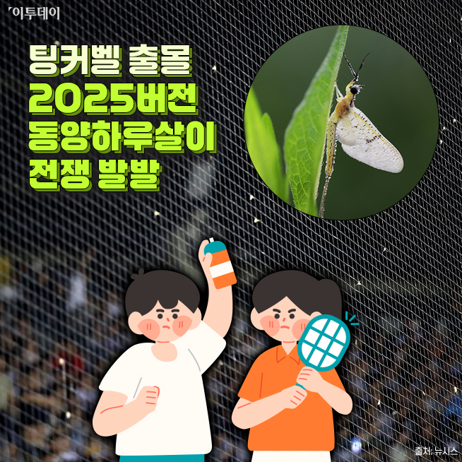 이투데이