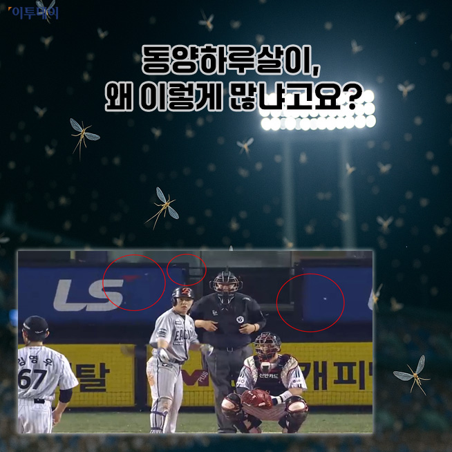 이투데이