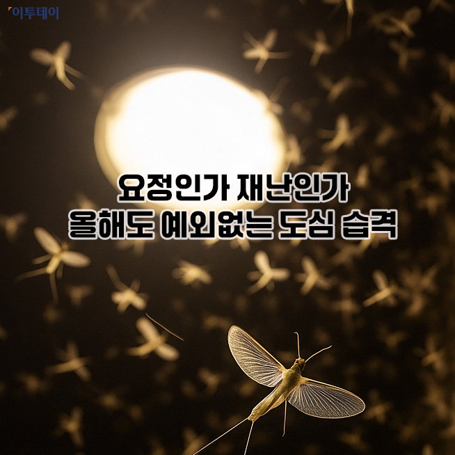 이투데이
