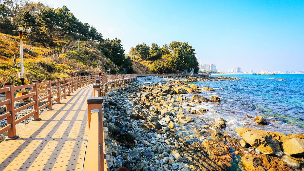 속초 외옹치 바다향기로 해안 산책길