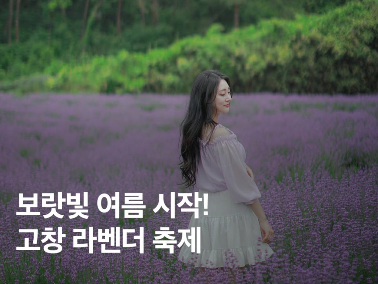 양귀비게임나라 이미지