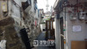 경향신문