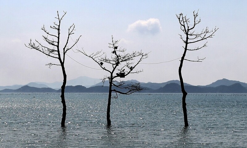 한겨레