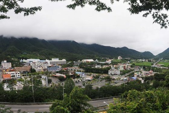 중앙일보