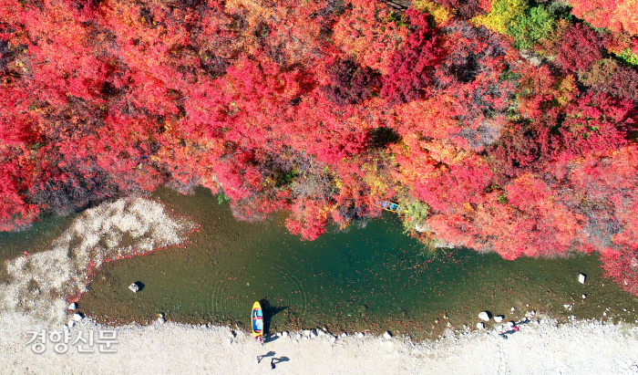 경향신문