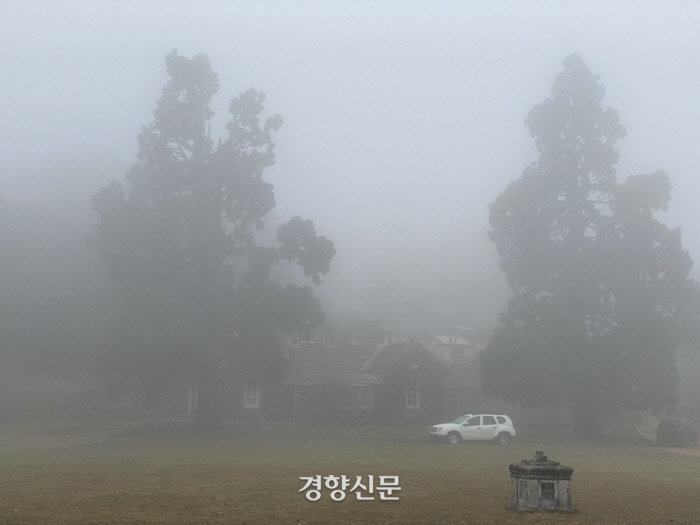 경향신문