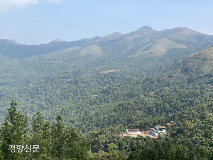 경향신문