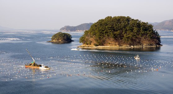 중앙일보